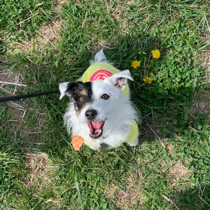 3ac95e48 5d43 4a8f b974 8d79bade587a 1680655547100