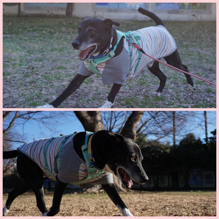 3ac97c8a b0e1 4cf6 a398 4bf6efb41520 1773190810087