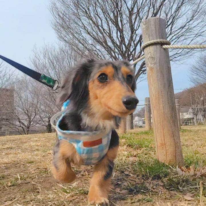 3ac9addc f4d9 4b21 999c d3e14ff867f7 1739747506097