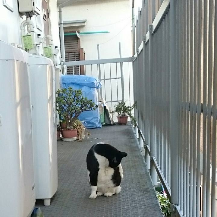 3ac9be15 3fec 4531 a9f6 dbb44ad07cb6 1518579082337