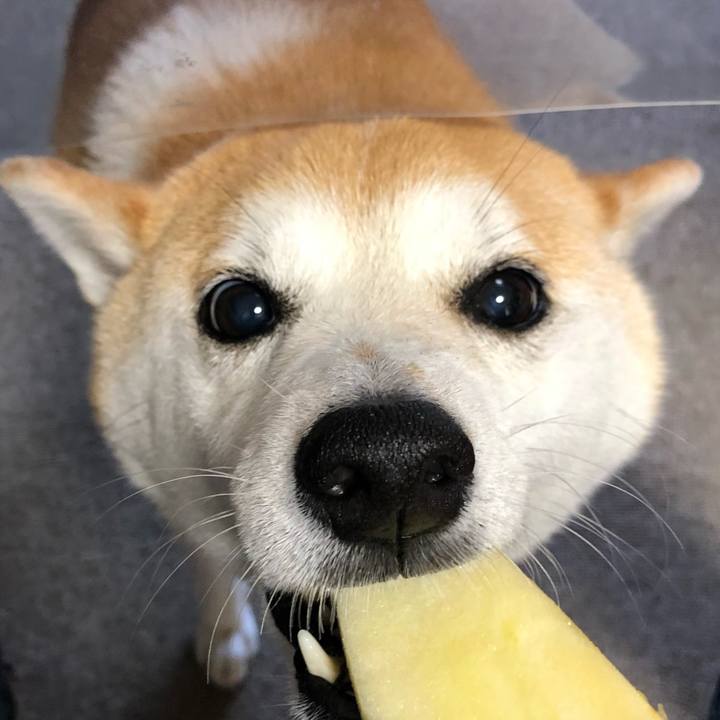 3ac9cb7d bde0 44ad 9a93 9521ef0c099b 1622679097574