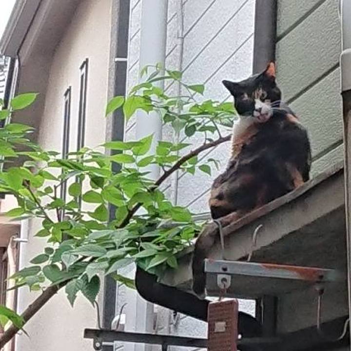 3ac9d24f 3310 4424 9167 f44c06c395af 1655375091209