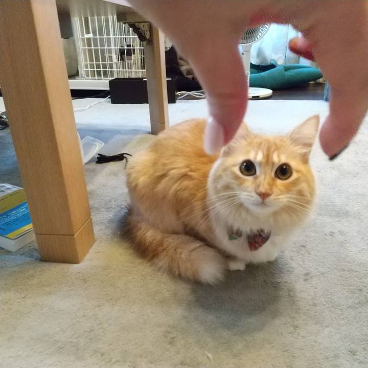 3ac9e08b 33f1 4b36 99f4 541081987503 1634508440257