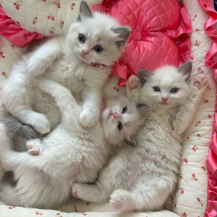 3ac9f902 11b4 47f6 b9a5 73712f2f815d 1737045531527