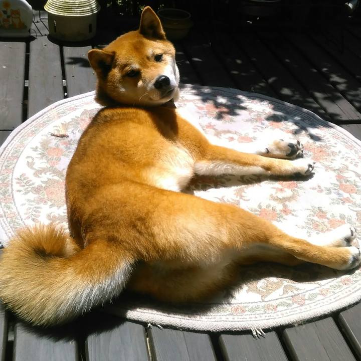 3ac9fcf2 49a1 4451 80ad cb1b07e98b3f 1526264379613