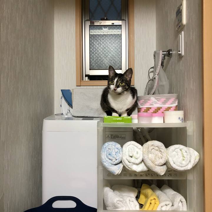 3aca12e8 8138 4617 87b6 b3f16ab8b350 1529956799363