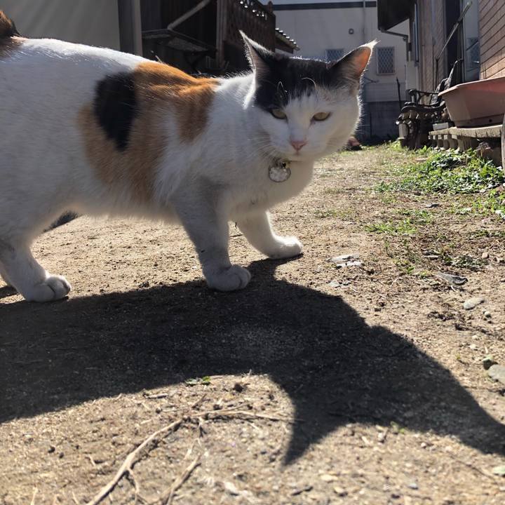 3aca1874 ab60 4d94 b582 6c791724d987 1613734805094