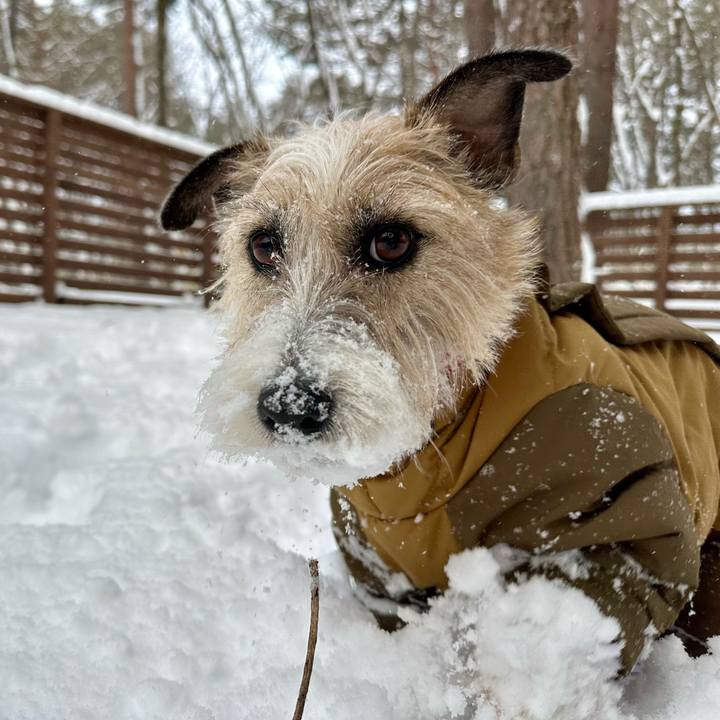 3aca21c6 01eb 41e3 852f 468b827e3b51 1738246905805