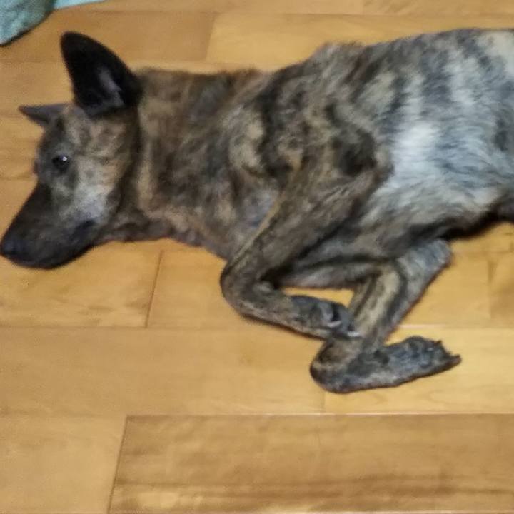 3aca223d 7018 46f2 9236 77210061e0d9 1533987737977