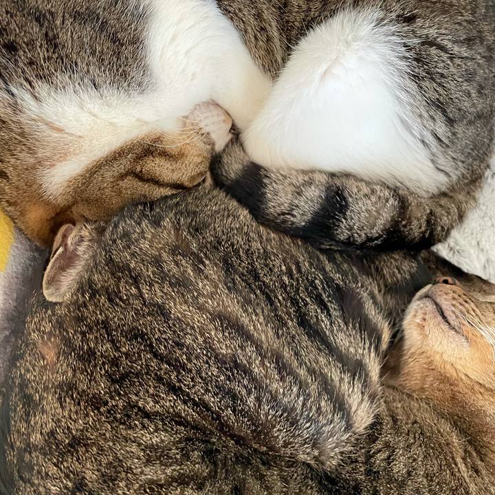 3aca33d6 b975 492b 9646 a3fc82fed8e8 1615341763811