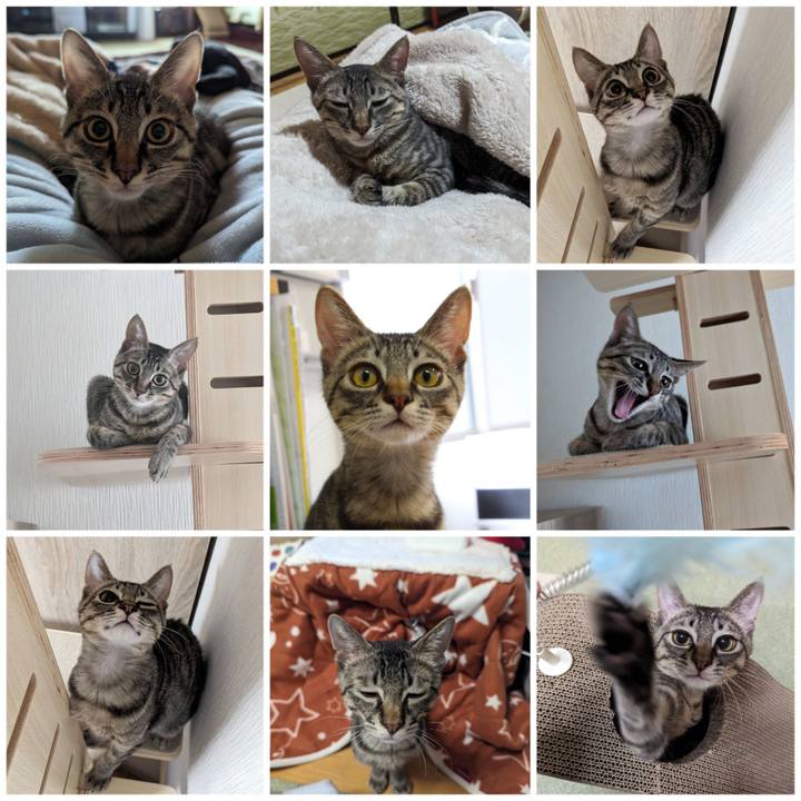 3aca3574 dc4b 4e24 9af9 aa8def4b6476 1705980330414