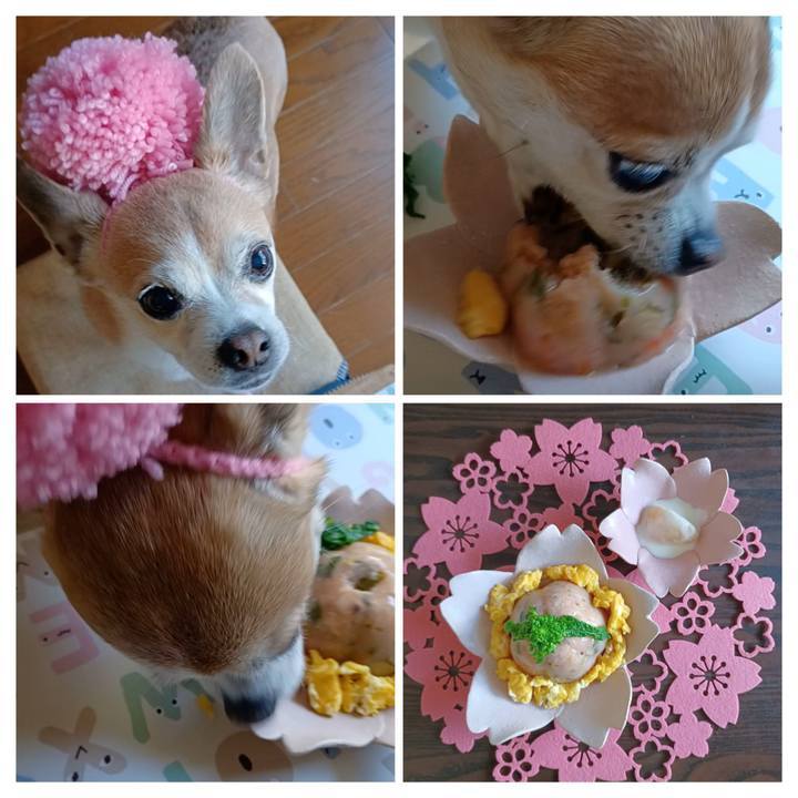 3aca58a5 2095 4c51 b7a3 bb70a79043ed 1772752320949