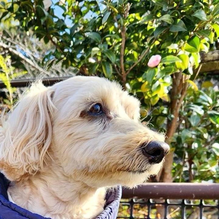 3aca5b4c e9e4 4e40 a3cf 2c247b7c2b0b 1767500324488