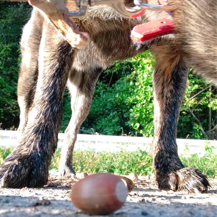 3aca6071 9ec3 46a2 81e8 b16ef0e6f96e 1508296203557