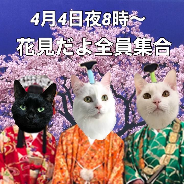 3acaf049 978b 4854 b66c d16eb7088140 1585667076276