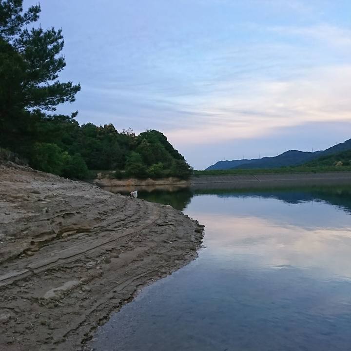 3acb090f 0bcc 461c affc 8b221490cd34 1557308200082