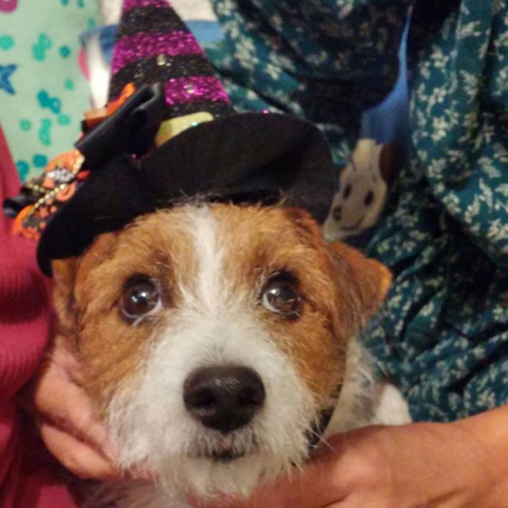 3acb5bb2 ca4e 41fc 84f8 47176fbda7d5 1540993989159