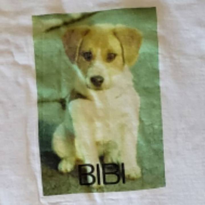 3acb9467 f411 4617 a68d b11a8669a2df 1587297221539