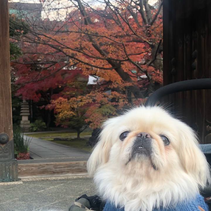 3acb9e5c cdbf 4674 81fd 6488eb5e31ce 1544484151951