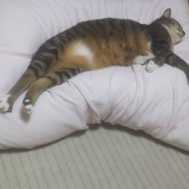 3acbf3bf 658c 4d4d 8129 dcff55eb8e5c 1621860162785