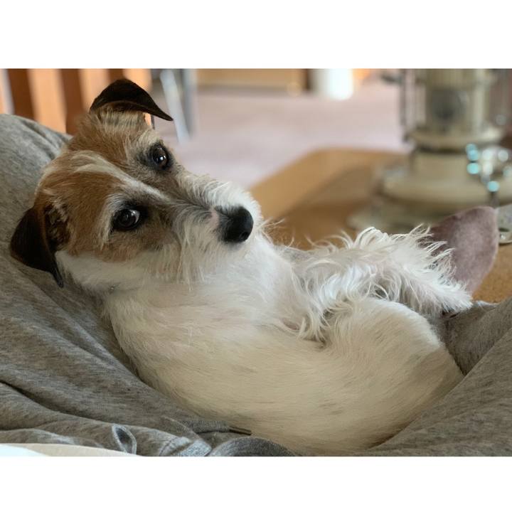 3acc04ab b169 4a5b a5b8 5a2a204754c0 1615968798605