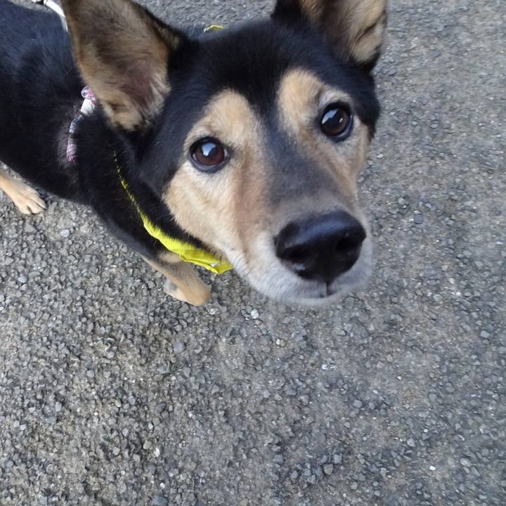 3acc4d67 8b0e 46ce a374 d0da574d56cc 1637425472999