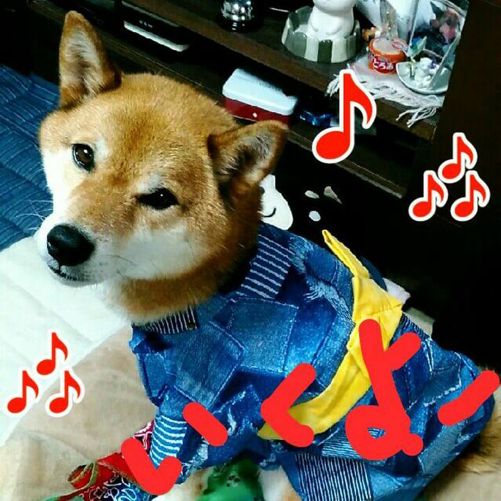 3acc5f9c f17d 48ef 8d94 aa787c29aba6 1565883702417