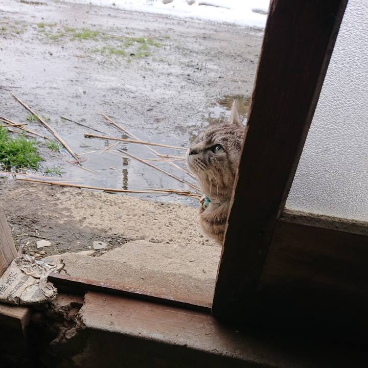 3acc7ec5 962e 47ed 98e9 61b1ca7c4d6c 1553398822969