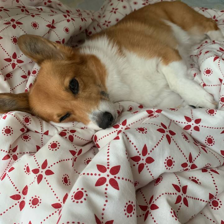 3acca4f3 a923 4bae 9e21 93699f5cb40f 1602125215362