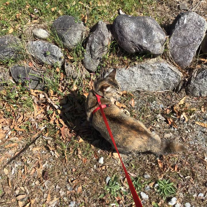 3accb4e4 c9e5 4048 b22c b85409ae33cc 1583730087530