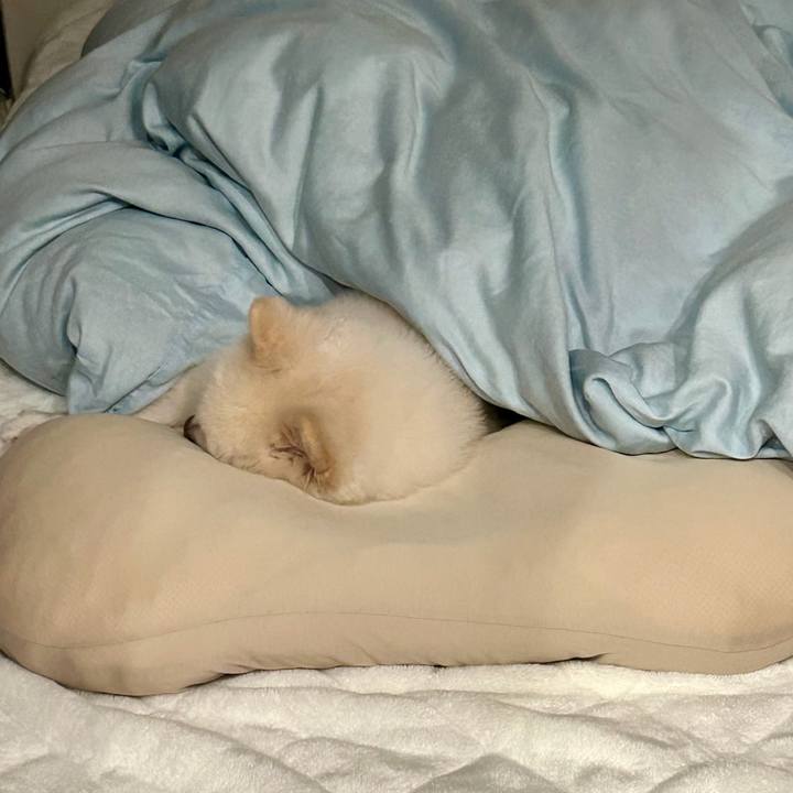 3accc3ec 6924 4c0c bb92 b4775162208b 1771467773057