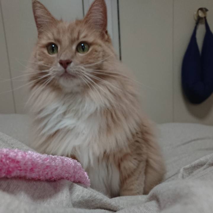 3accd152 eb04 4f54 a362 2690b4e818e4 1546745893315