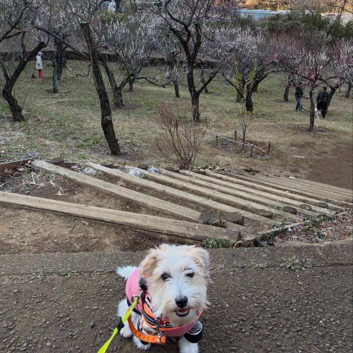 3accfc15 49f5 4c2b 8492 8dca323d0893 1772964578370