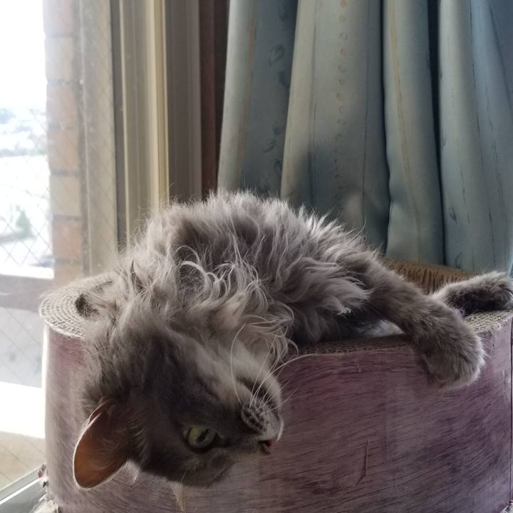 3acd0839 8429 4b21 acd6 1598a23bca0f 1564368964945