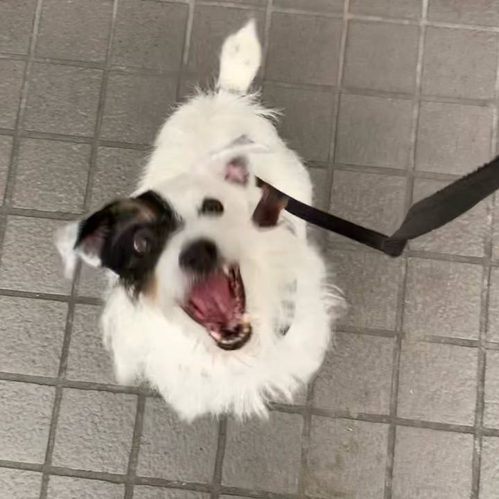 3acd099f ec22 4ffb a481 ce7fa9cbb4eb 1660295854341