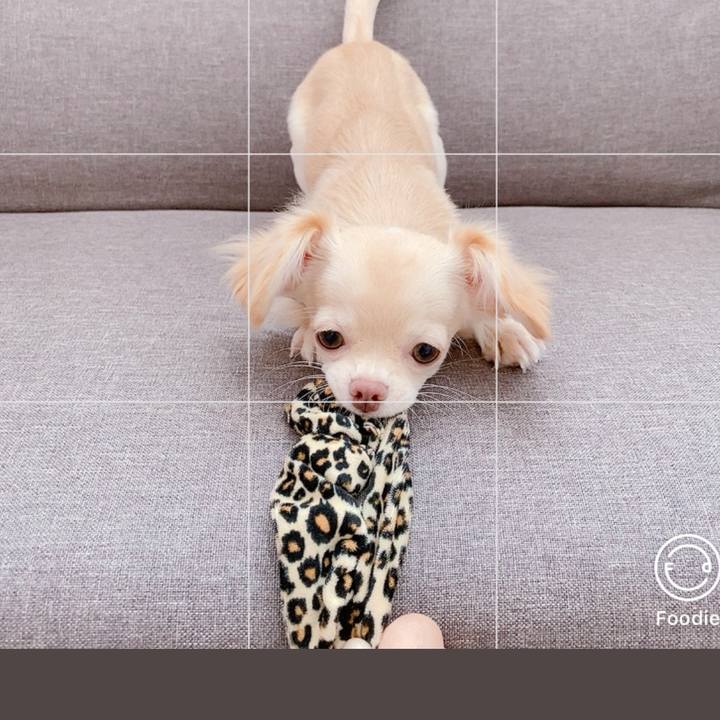 3acd4447 b372 4917 8e0a 7610576b94ac 1717757042173