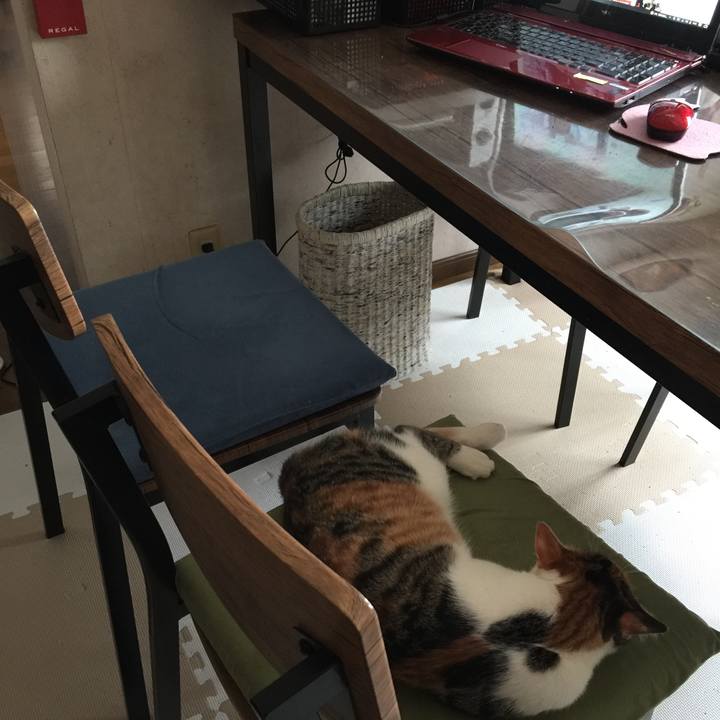 3acd50ec ff75 46a2 80fb 84dbfddc60e2 1645498054165