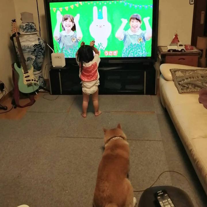 3acd5731 9b51 4bc5 a620 89b3f10570e8 1660398059088