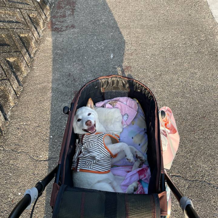 3acd68d9 41ca 4b69 8c71 53aae9d9a8f5 1660481891325