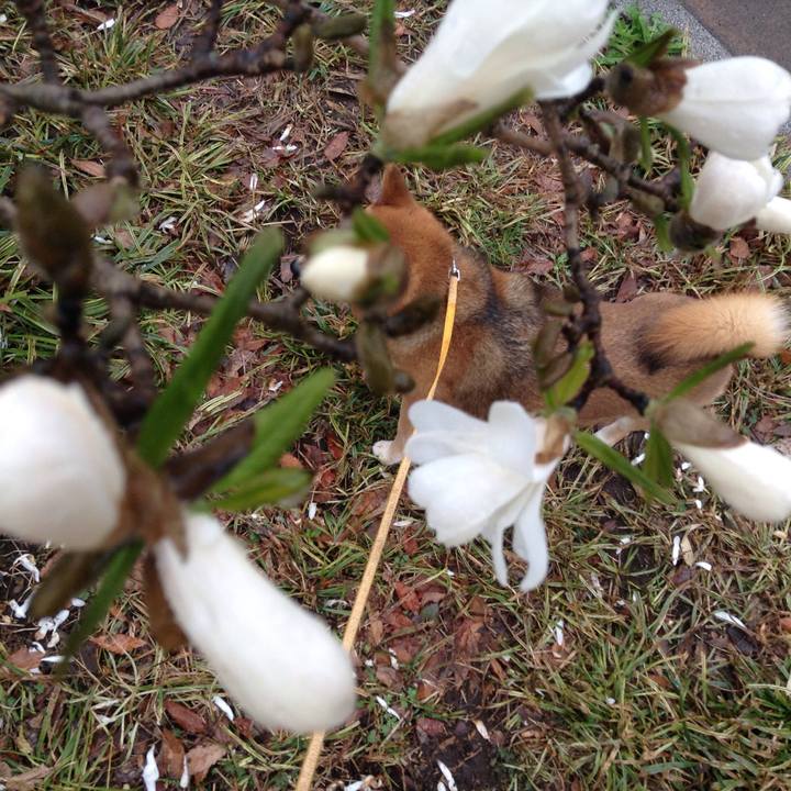 3acd7a6d ae66 4287 b3d0 e7fd11cdb786 1521597875678