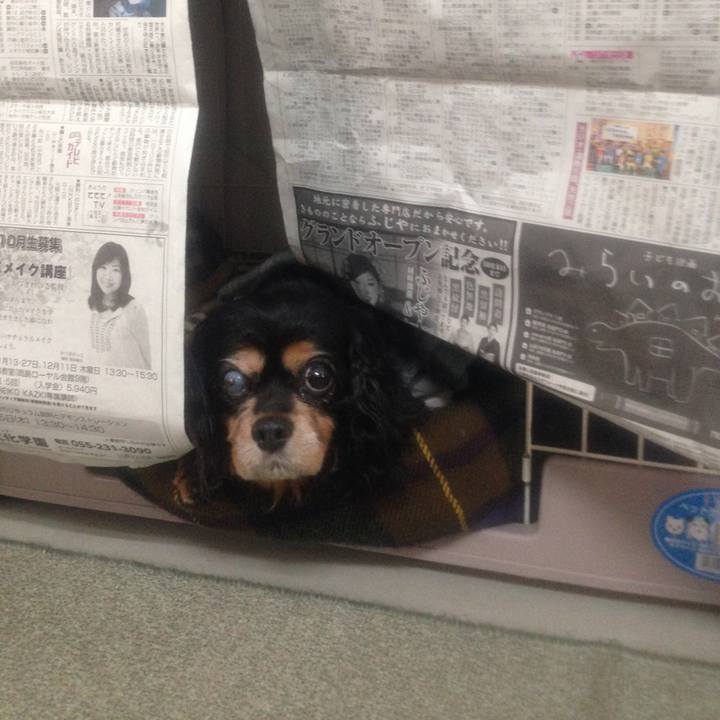 3acdbc7a b23b 4269 98cd f38e0ce27e63 1570145577069