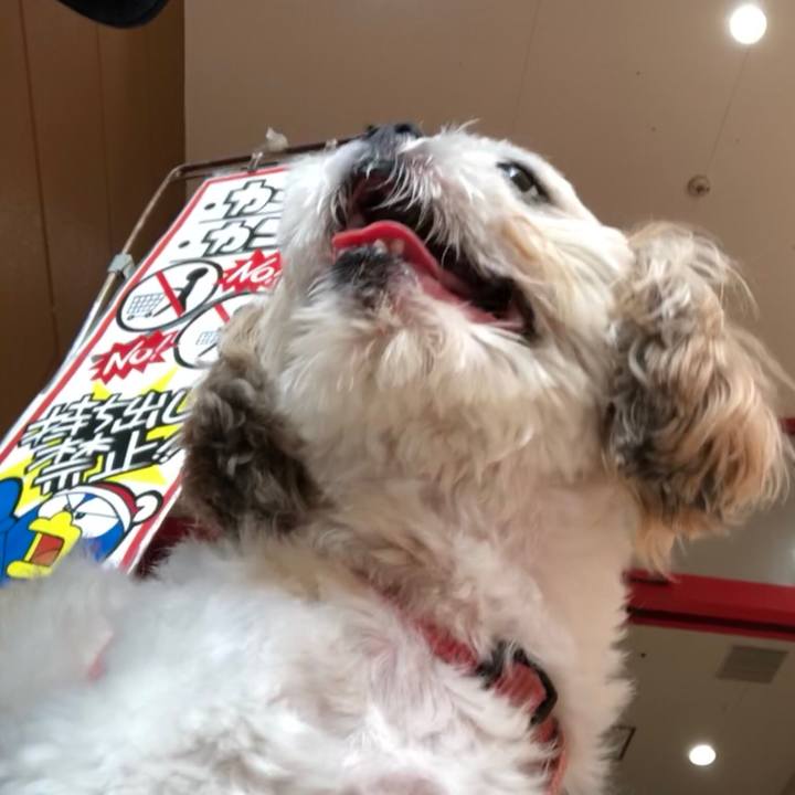 3ace2791 aead 4d5f 9ee6 5dadb51fbb5e 1538689586852