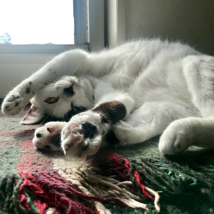 3ace41a6 199f 4ba0 b301 eaa1174e19ec 1542282451831