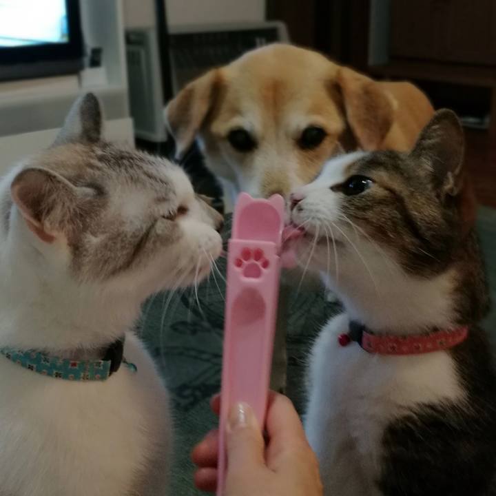 3ace8efd c8db 4ddb 9a6e 5efbe3477f89 1560603809300