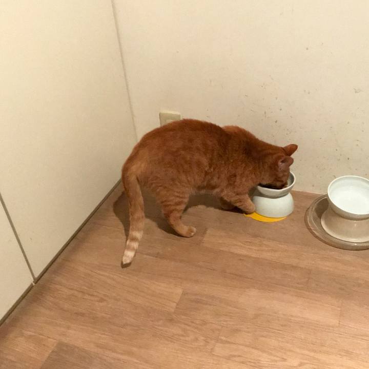 3aceb7de 1b1f 468a b9d2 38f210013380 1557671522723