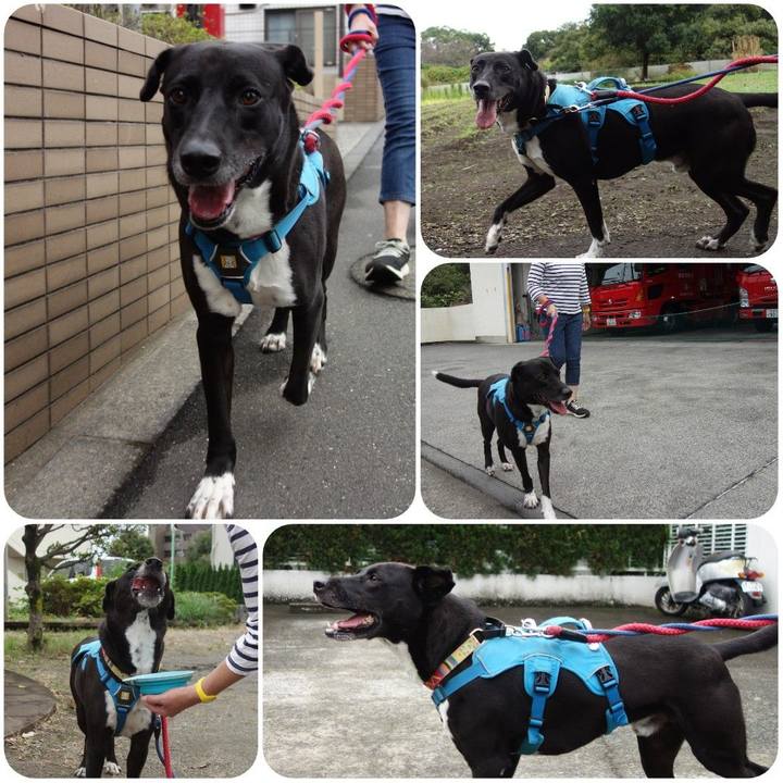 3acee411 4723 49d7 a683 80fd18edb020 1634171940799