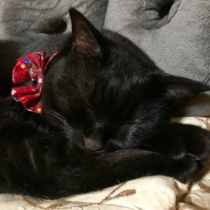 3aceeeec fe1c 4192 9d66 449b2c77ccdd 1535198175587