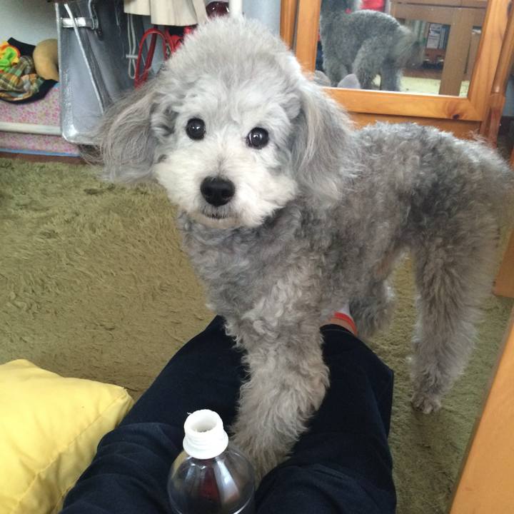 3acefcf2 5294 4051 828e 99e7a56f7e44 1737951863370