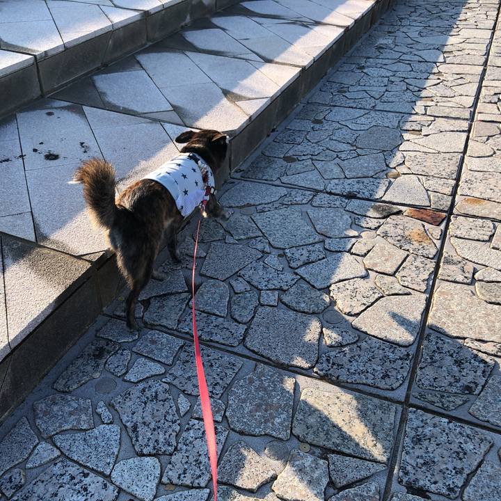 3aceff1a ff29 446c b14a f4e3d19a0ad1 1597706480526