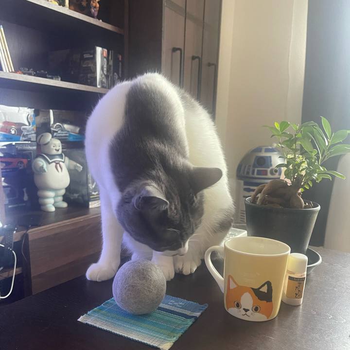 3acf2d4a e01a 464e 9e69 bc1b0d9ddf80 1696734507179